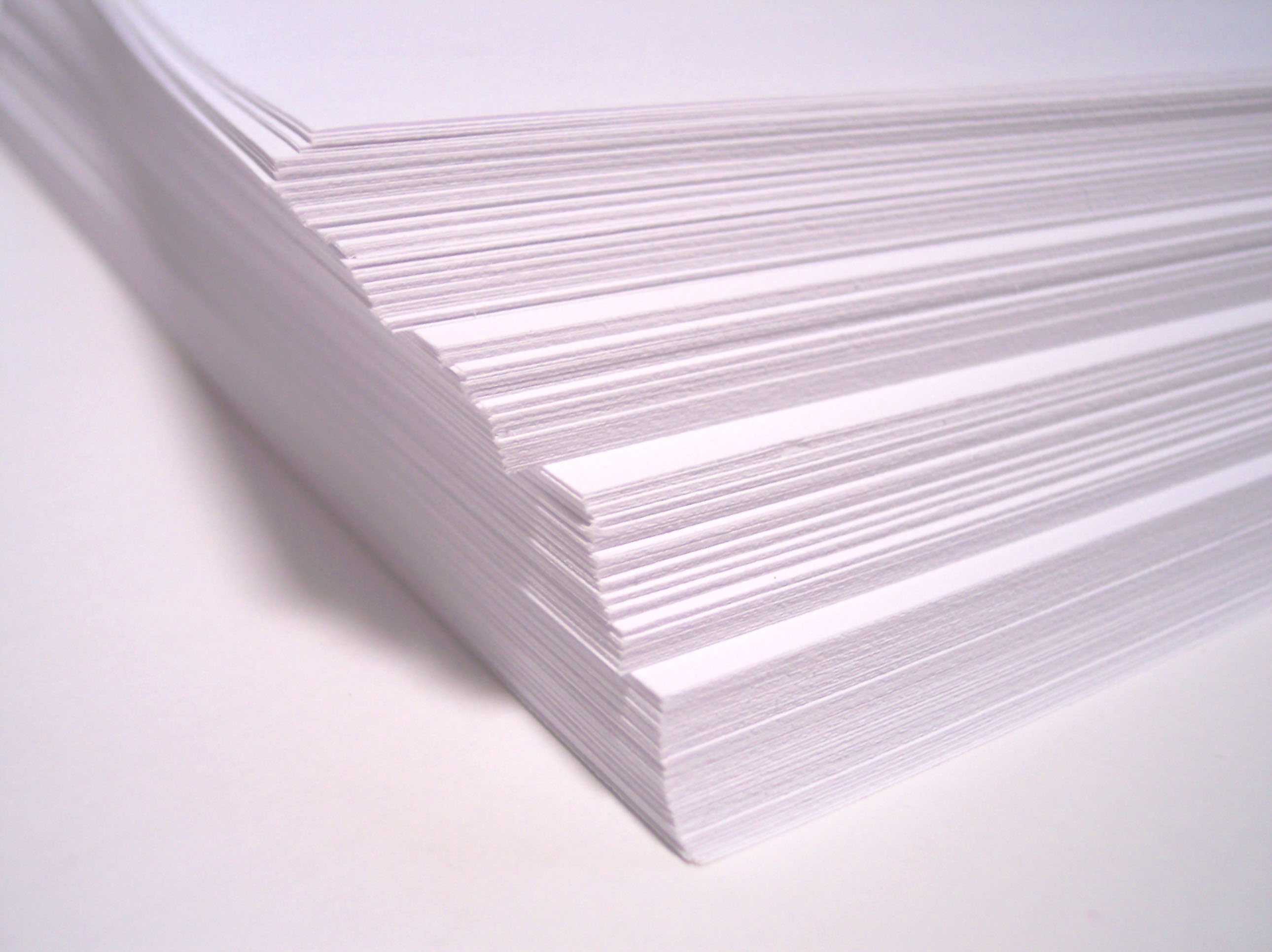 I Wrote A Senior Thesis Should You Take Your Success